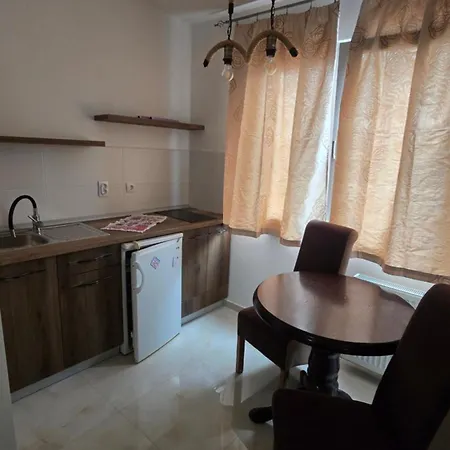 Bazen Za Uzivanje شقة بيتروفارادين